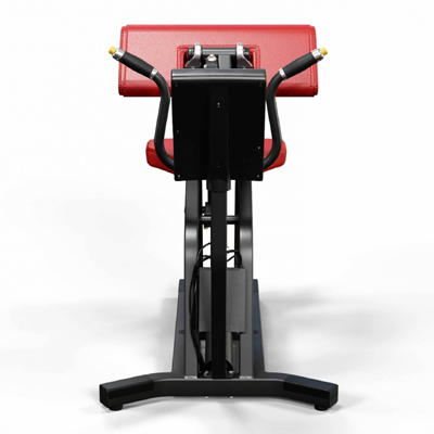A300 Arm Curl