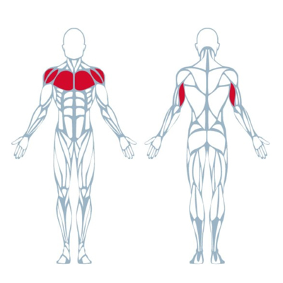 A300 Chest Press