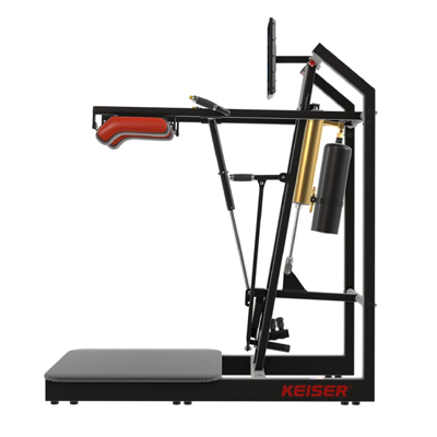 A400 Squat Pro