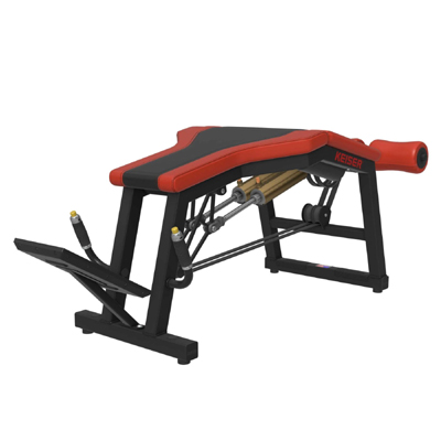 A400 Leg Curl Pro