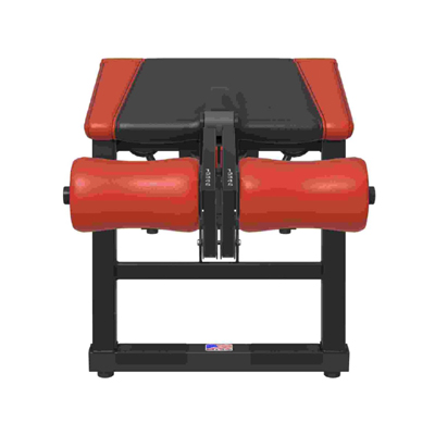 A400 Leg Curl Pro