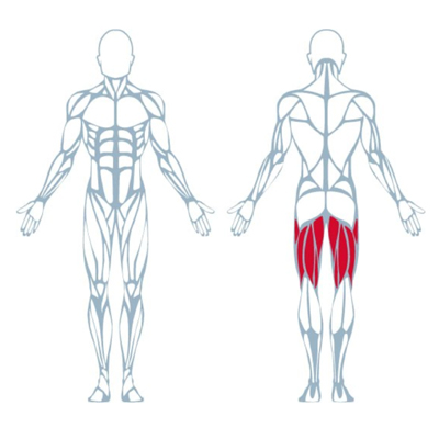 A400 Leg Curl Pro