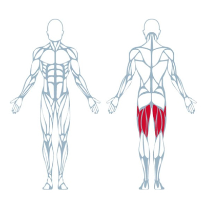 A400 Seated Leg Curl