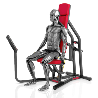 A400 Triceps