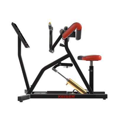 A400 Arm Curl