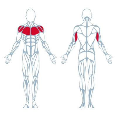 A400 Chest Press Pro