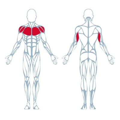 A400 Biaxial Chest Press
